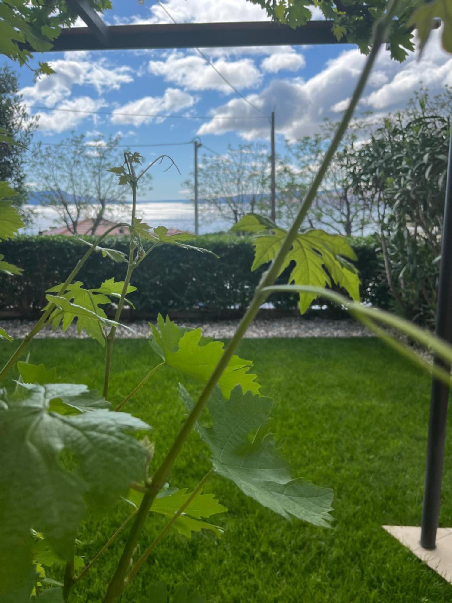 Apartman Mia Senj  Extérieur photo